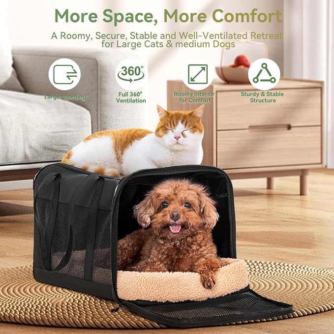 Petsfit Large Cat Carrier for Car Travel, Patented Seat Belt Buckle, 20 lb | 19 x 12 x 12 in; for large cats and small dogs, with locking zippers, anti-scratch mesh, reinforced frame and washable pad.