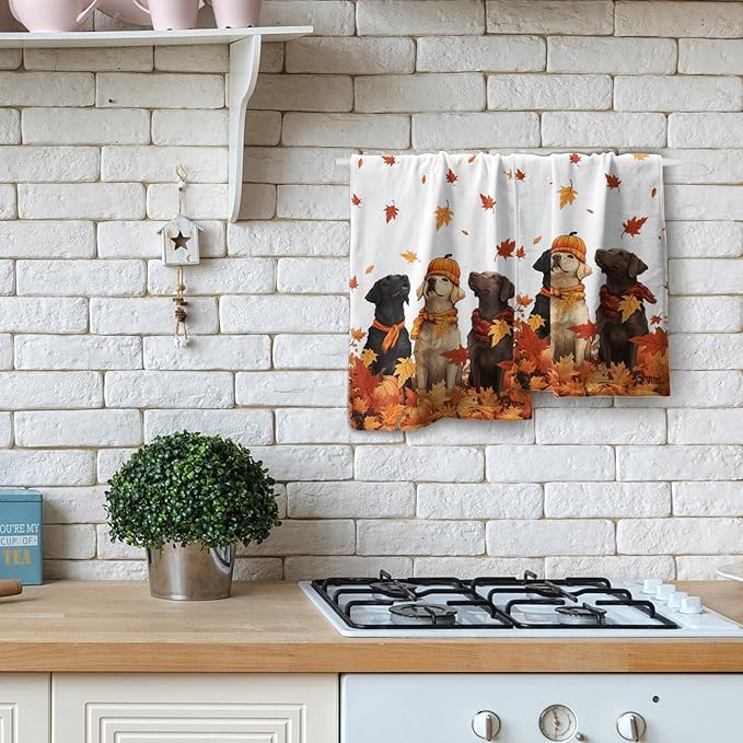 Giwawa Fall Dog Towel Set of 2, Autumn Pumpkins Orange Maple Leaves Funny Puppy Decorative Hand Towels, Thanksgiving Harvest Soft Face Towel Washcloth for Bathroom Guest Gym Spa Hotel Home