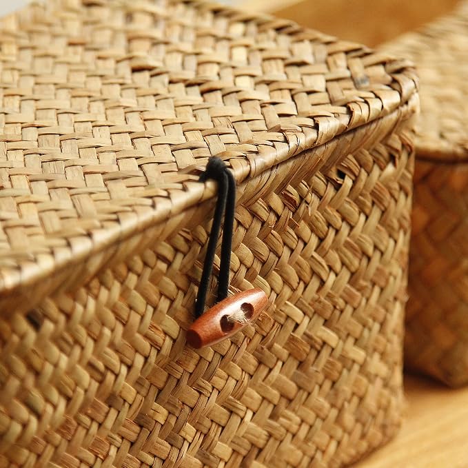 FEILANDUO Mini Wicker Shelf Storage Baskets with Lid, Set of 3, (S/M/L) | Handwoven Seagrass Small Decorative Boxes, Desktop Makeup Organizer, Multipurpose Container