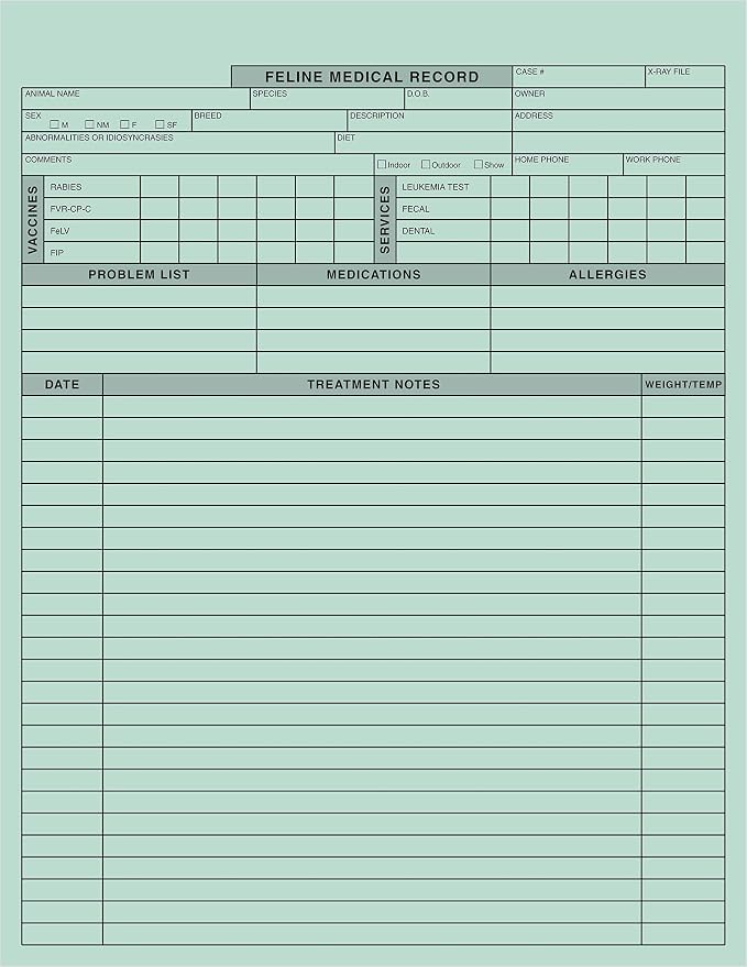 Tabbies V-CF101 Feline Medical Records Forms, 250 Pack, Green 2-Sided 8.5 x 11 Inch Heavy 100 lb Stock, Veterinary Patient Chart Sheets
