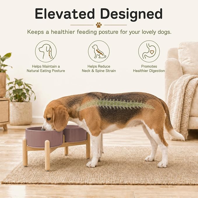 Havniva Ceramic Dog Bowls Elevated, Raised Dog Food Bowl for Medium Dogs | 7.3” Elevated Dog Bowls, Non-Slip Wood Stand, Dog Food and Water Bowl Set, Dog Feeding Dish, Large Capacity Pet Water Bowl