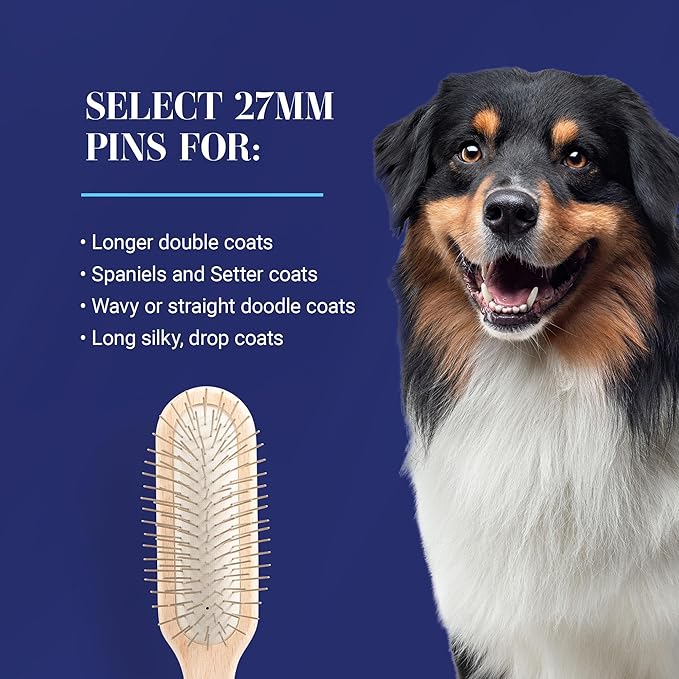 Chris Christensen 27 mm Oblong Pin Dog Brush, Original Series, Groom Like a Professional, Stainless Steel Pins, Lightweight Beech Wood Body, Ground and Polished Tips