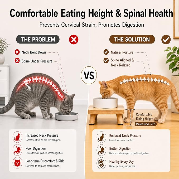 Elevated Cat Food Stand for Automatic Feeder, 2.4" Raised Cat Bowl Stand | Pet Food Station for Neck & Joint Care, Waterproof Solid Wood Cat Feeder Stand, Cat Food Table with Non-Slip Feet