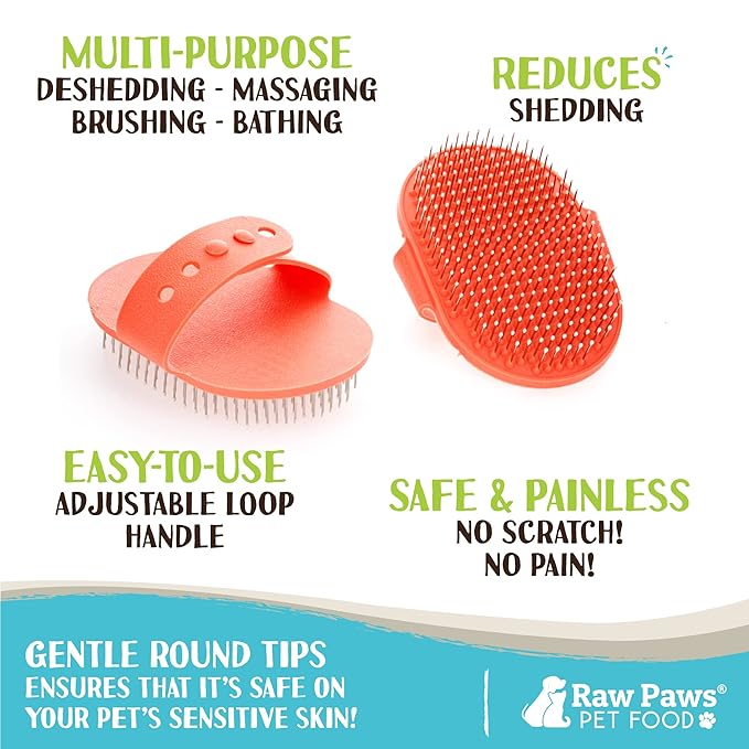 Raw Paws Grooming Brush, 1 ct - Hand-Held Rubber Tipped Pin Brush for Dogs & Cats - Deshedding Dogs with Short Hair & Long Hair - Dog Grooming
