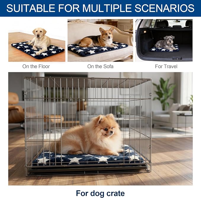 Washable Dog Bed Mat With Anti-Slip Bottom, Deluxe Plush Memory Foam Crate Pad & Waterproof Outdoor Kennel Mat For Dogs & Cats-Durable Crates Beds, Large Medium Small Puppy Size 24" x 18",Blue