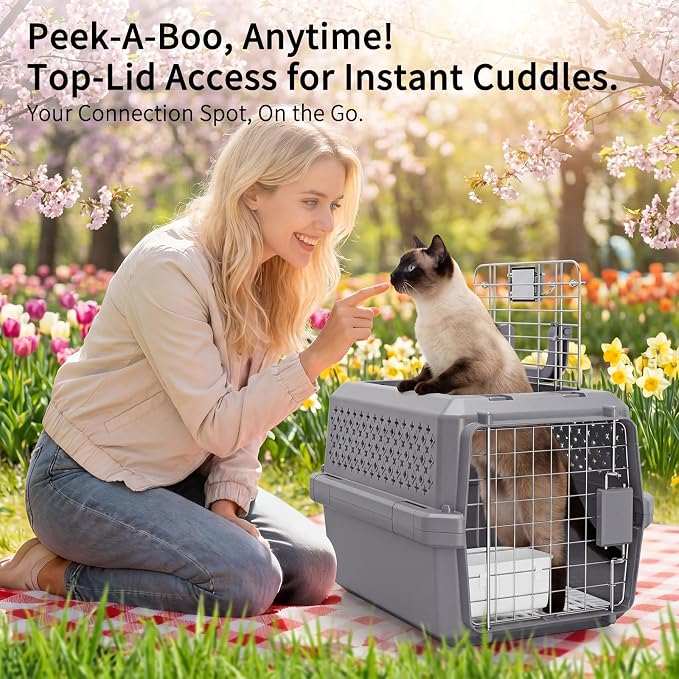 Carrier for Small Cats & Dogs:Secure Hard-Sided Pet Carrier | Secure Metal Locking Door / Multi-Side Ventilation / Top Carry Handle / Lightweight Durable Shell