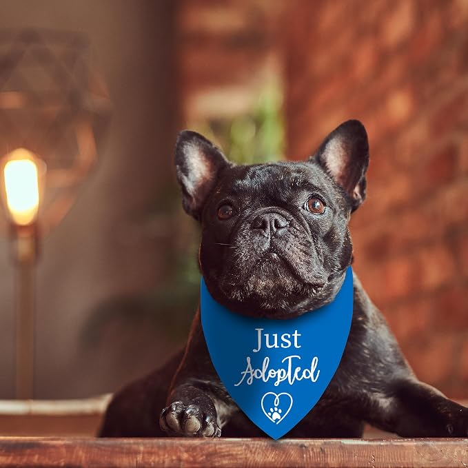 Adopt Me Bandanas for Dogs, Just Adopted Dog Bandana, Funny Cute Pet Triangle Scarf for Medium Large Dogs Puppy, Gifts for Dog Mom Owner Lovers Christmas (Blue)