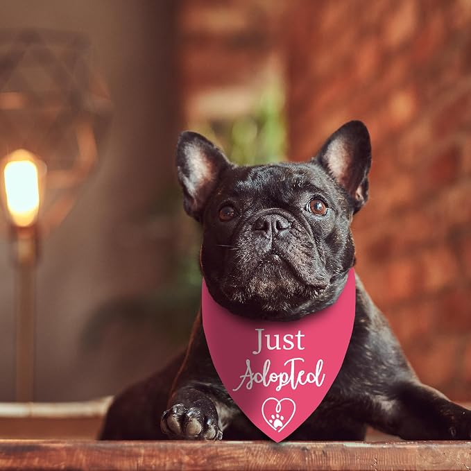 Adopt Me Bandanas for Dogs, Just Adopted Dog Bandana, Funny Cute Pet Triangle Scarf for Medium Large Dogs Puppy, Gifts for Dog Mom Owner Lovers Christmas (Pink)