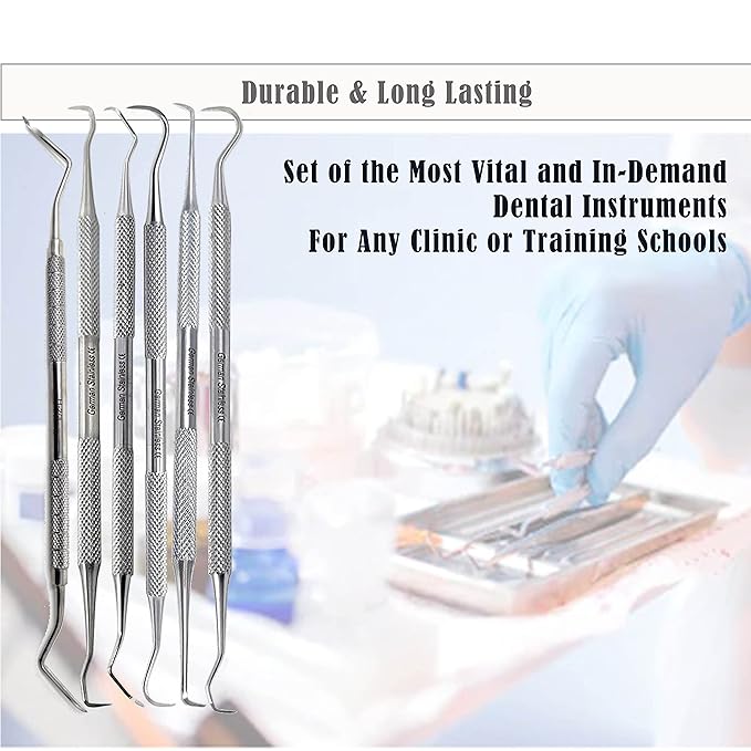 Professional Dental Tools Dental Picks Oral Care Kit, Stainless Steel Hygiene Kit Set with Tooth Scraper Tartar Scaler Tweezers Mouth Mirror for Personal & Pet Oral Care Use (Sickle Set of 6 Pcs)