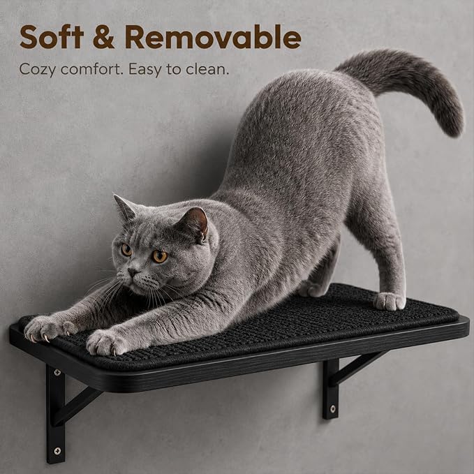 Cat Wall Shelves Set of 2, Black Solid Wood Window Perches with Sisal Mats | Removable Black Sisal Mats, Wall-Mounted Cat Furniture for Climbing, Scratching and Lounging, 16.6 x 9.7 Inch