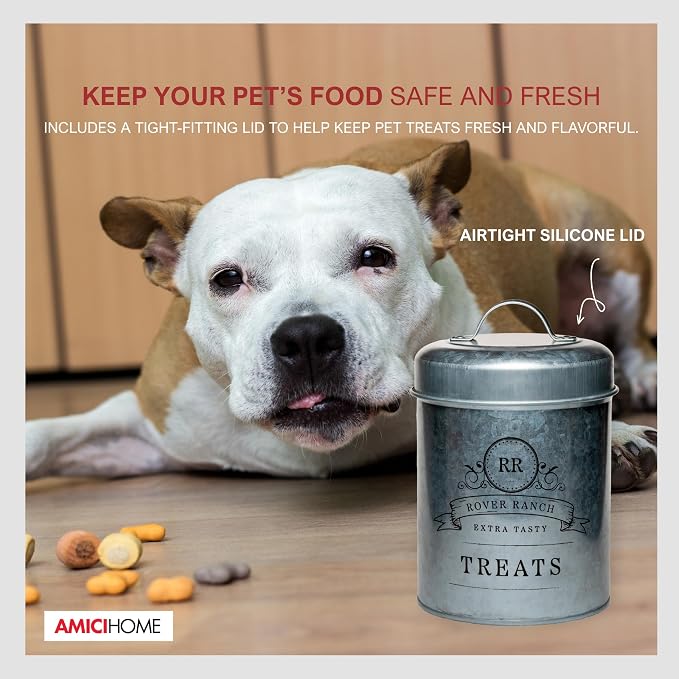 Amici Home Rover Ranch Metal Pet Treat Canister, 64 Oz - Silver | Airtight Treat Storage Jar with Silicone Gasket, Wide Mouth, Lid Handle, Pet Snack Container for Biscuits & Training Bites