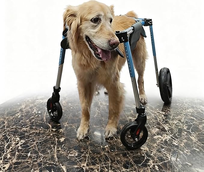 Dog Wheelchair for Hind Legs Support, XS-XXL Adjustable Length Width Small Dog Mobility Cart Post Surgery Recovery Aid for Disabled Arthritic Paralyzed Dogs