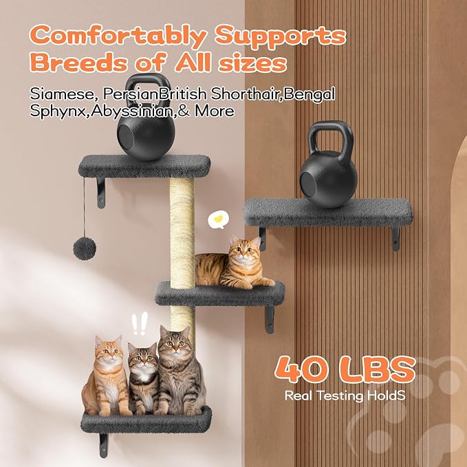 6-in-1 Wall Mounted Cat Climber Set for Heavy Cats,Wall Shelves,Stable & Safe Cat Furniture Set for Large Cats, Wooden Climbing Wall with Scratching Post (Black)