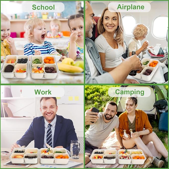 4 Compartment Snackle Box Container with Lid, Mini Divided Serving Tray | Portable Snack Platter Fruit Veggie Trays Snackele Box Containers for Charcuterie, Party, Snack, Nuts, Beach, Travel, Picnic