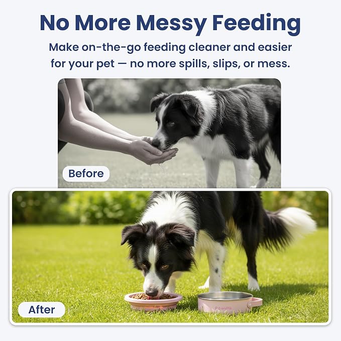 PawsPik 2-in-1 Travel Dog & Cat Bowl – Collapsible BPA-Free Silicone | 18/8 Stainless Steel, Portable & Non-Slip with Handle, Easy to Clean, Food & Water Bowl for On-the-Go Pets