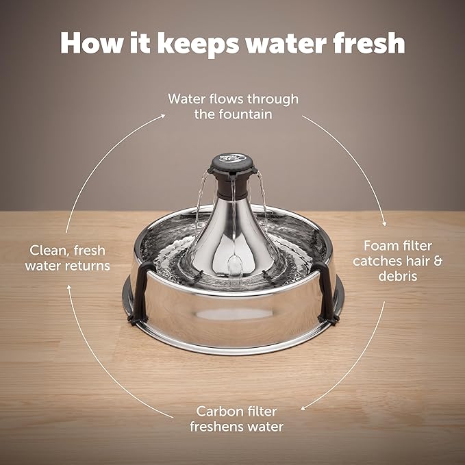 PetSafe Stainless Multi-Pet Fountain with Extra Filters Great for Multiple Pet Households Customizable Stream Options Scratch and Rust Resistant 128 Oz Water Capacity Fresh, Filtered Water
