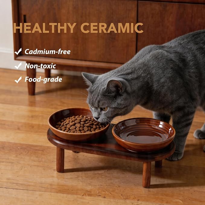 Havniva Elevated Cat Bowls, Ceramic Cat Bowl with Wood Stand, Wide Opening | 5.7” Raised Cat Food Bowls, Whisker Friendly Cat Dish, Anti-Slip Cat Water Bowls, Shallow Cat Bowls, Cat Food & Water Bowl