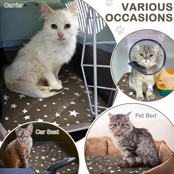 4 Pack Self Warming Cat Bed Self Heating Cat Mat Star Pattern Soft Dog Crate Pad Thermal Pet Mat Anti Slip Kennel Dog Washable Warming Bed for Outdoor Indoor (18 x 24 Inch,Brown)
