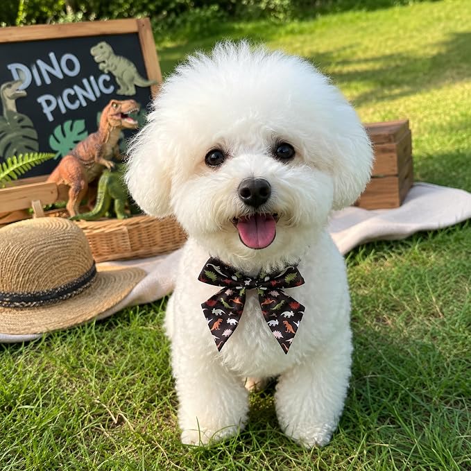 PET SHOW 10 Pack Dinosaur Sailor Dog Bowties for Small Dogs