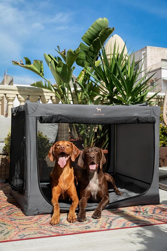 Noah & Paw Collapsible Dog Crate 42 Inch, XXL Dog Crate for XXL, XL, Large Breeds, Travel Kennel for Car, Includes Pet Mat for Pet Cage, 2 Storage Pockets, Handbag, 10mm Locking Zippers 42 * 31 * 31