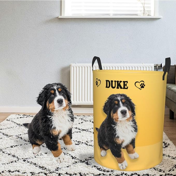 Personalized Large Dog Toy Storage Basket Bin Collapsible Custom Pet Stuff Box Chest Container for Living Room Organizer for Dog Toys,Dog Food,Blankets,Clothing (Yellow)