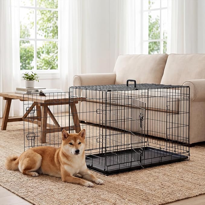 Medium Dog Crate 36 Inch, Metal Wire Foldable Dog Cage Kennel | Double Door, Secure Lock, Plastic Leak-Proof Pan Tray, Indoor Outdoor Training Pet