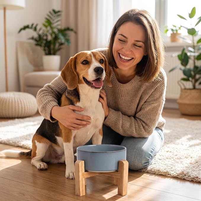 hjn Elevated Ceramic Dog Bowl with Bamboo Stand, Raised Pet Feeding Station for Small Medium Dogs Cats, Modern Design with Anti-Slip Base (Gray Blue, 3.6Cup)