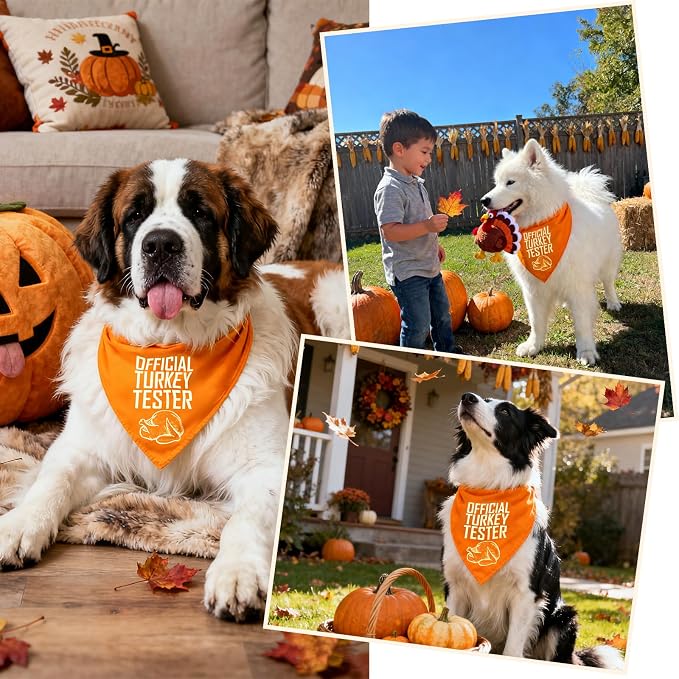 Turkey Tester Dog Bandana Thanksgiving Costume for 30-75lbs Pets