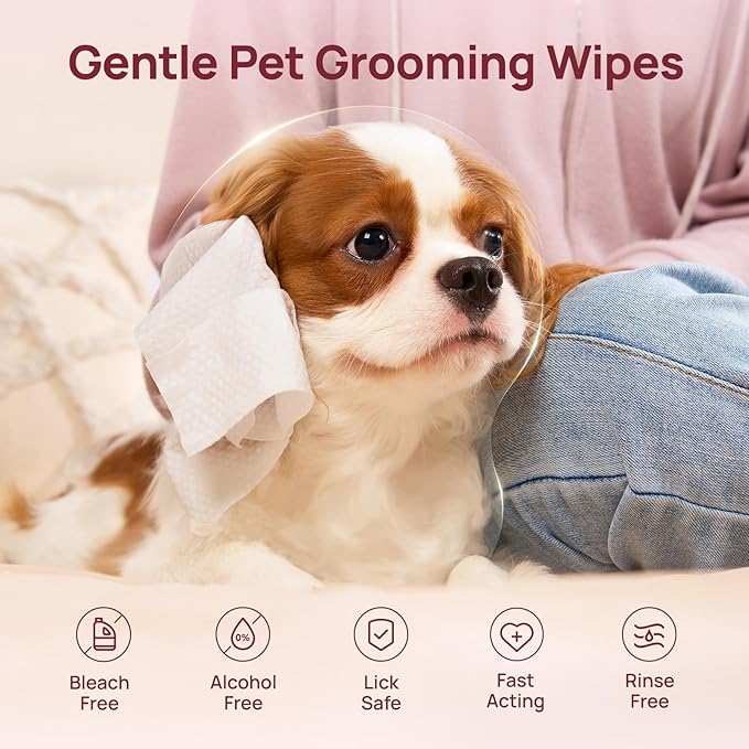 HICC PET Wipes for Dogs and Cats, Vet-Recommended Pets Cleaning Wipes, Deodorizing Hydrating, Nourishes Smoothes Fur, Fermented Coconut Oil Grooming Paws Body and Butt, Horse Skin Coat, Rose, 100pcs