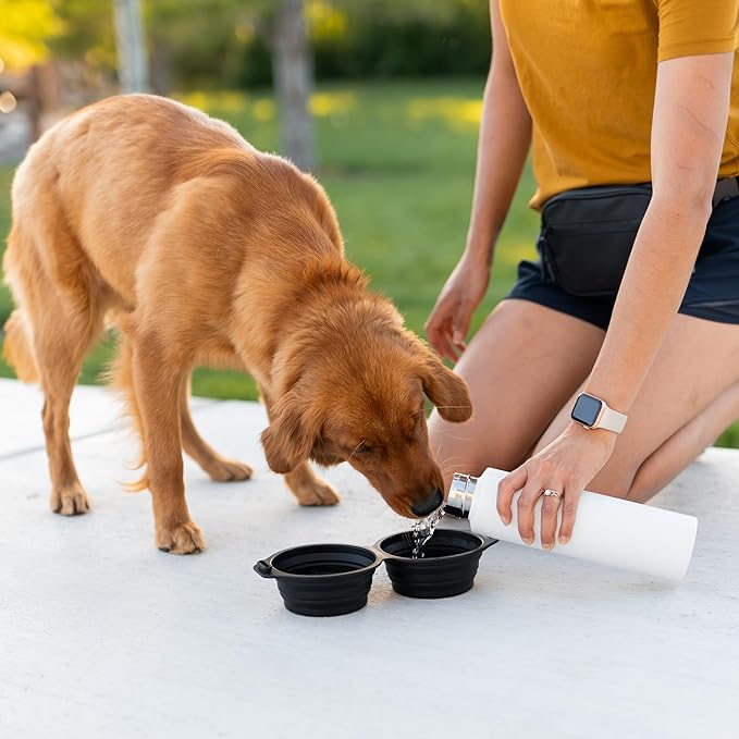 Pup Culture Dual Collapsible Dog Bowls | Silicone Travel Water Bowl for Dogs | Food Grade, No Plastic Rim, Portable Dog Bowl for Food and Water - Easy to Clean | BPA Free and Safe for Your Pup-Tan