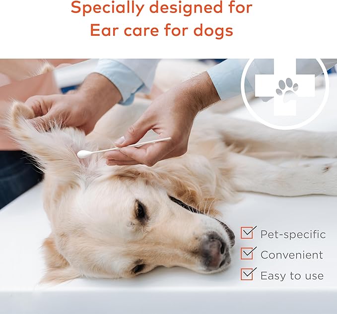 ARCA PET Cotton Swabs for Dogs and Cats - Cat & Dog Ear Cleaner Long Cotton Swab - Extra Large Cotton Head, Cat & Dog Ear Cleaning Kit for Puppies, Multipurpose Pet Cotton Swabs (Extra Large 100 Buds)