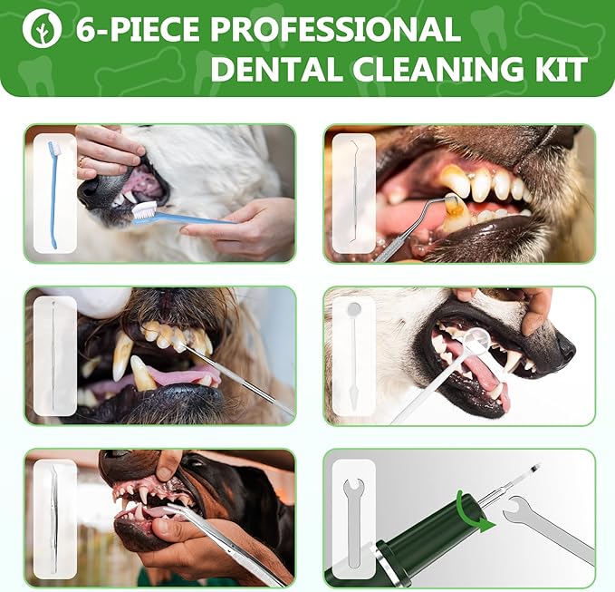 Opdent Dog Plaque Remover for Teeth - Pet Ultrasonic Tooth Cleaner, 6 Adjustable Modes Dog Teeth Cldaning Kit with LED Light, Cats and Dogs Tartar Remover for Teeth (Green, Large)