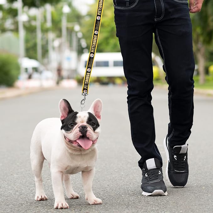 NFL PET Leash Pittsburgh Steelers Dog Leash, Medium Football Team Leash for Dogs & Cats. A Shiny & Colorful Cat Leash & Dog Leash Licensed by The NFL