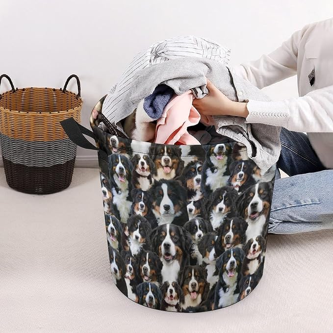 Bernese Mountain Dog Laundry Basket, Collapsible Laundry Hamper with Handles, Bernese Mountain Dog Laundry Hamper, Foldable Waterproof Clothes Hamper for Bedroom Bathroom