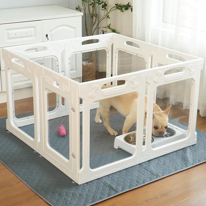 Clear Acrylic Indoor Dog Playpen, 24" H, 8 Panels, White | Open View, Modern Home, No Climbing Bars, Tool-Free Setup, For Puppies & Small Dogs