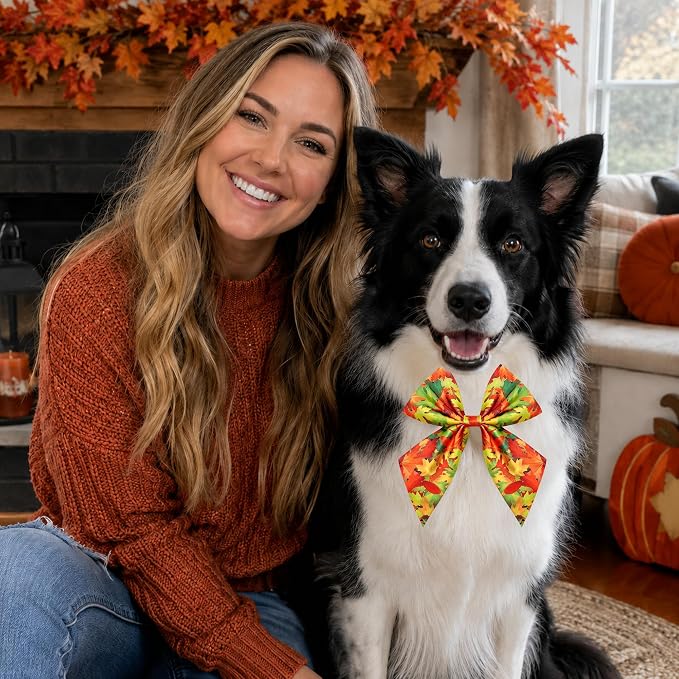 PET SHOW 10 Pack Holiday Winter Sailor Dog Bowties for Large Dogs