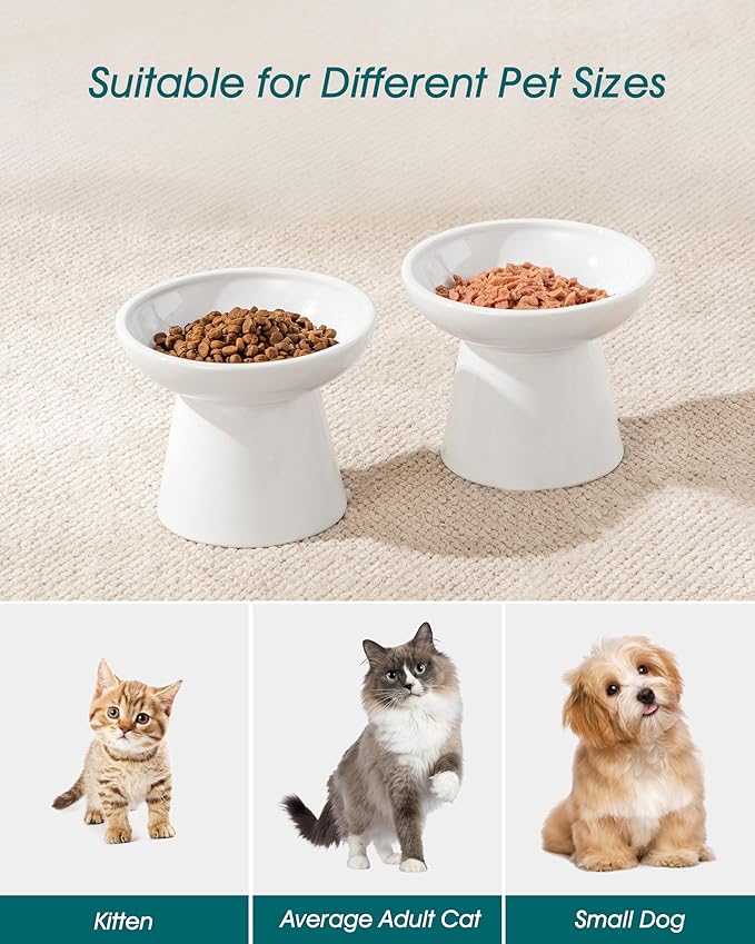 vancasso Elevated Cat Food Bowls 2-Pack, 6.2" Wide Shallow Cat Feeding Bowl for Whisker Fatigue, 5.1" Height Ceramic Raised Food Bowls for Senior Cats, Anti Vomit, White