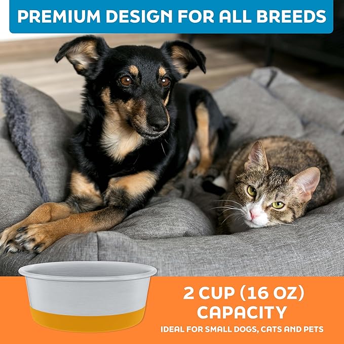 Master Pet Supply Stainless Steel Dog Bowls Set of 2 with Extra Thick Silicone Base - 2 Cup (16 oz) Mango Tango, Non-Slip, Dishwasher Safe Metal Bowls, Pet Dog Food Bowl for Dogs, Cats, Anti Rust