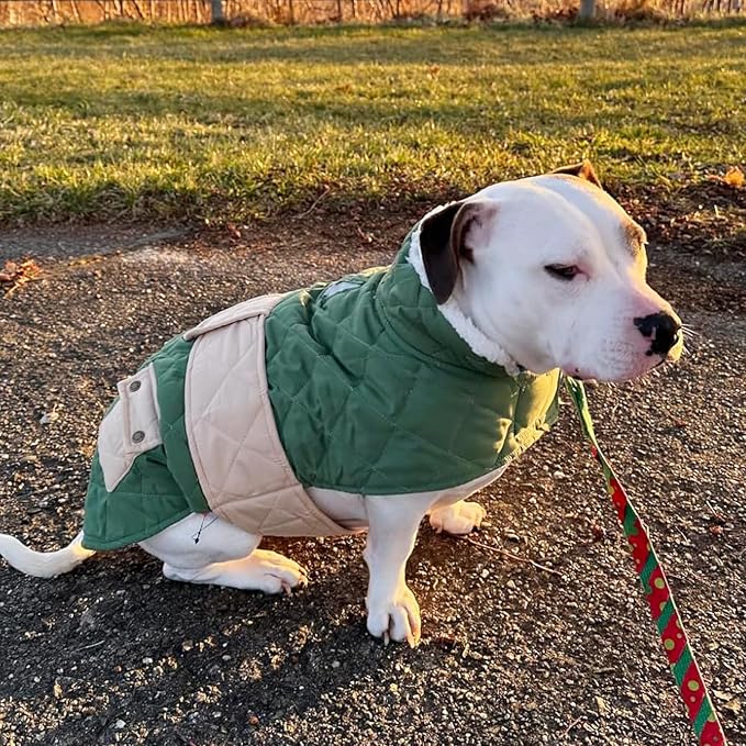 KYEESE Waterproof & Windproof Dog Coat for Small Medium Dogs Puffer Jacket