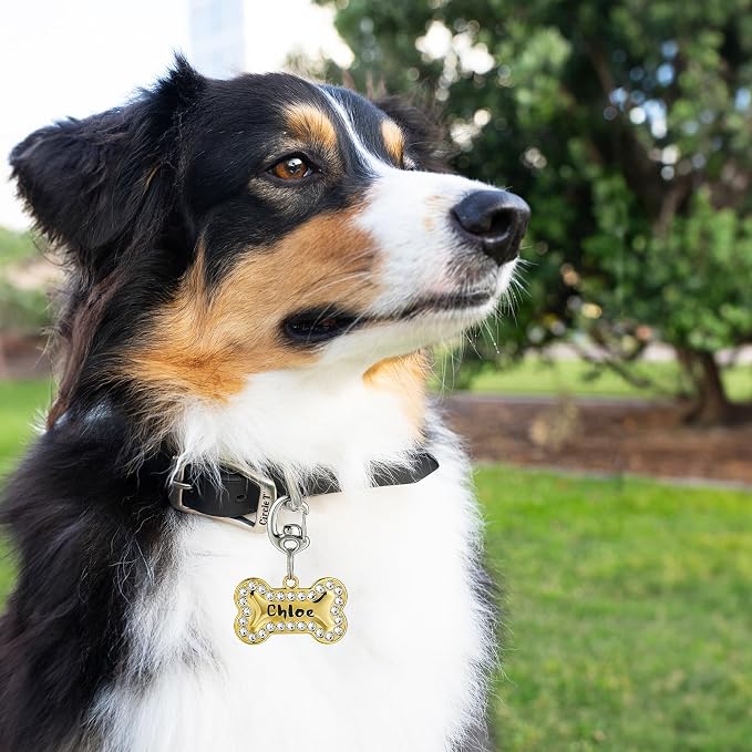 Stainless Steel Pet Collar Tag Clip, Contour Carabiner- 2 Sets | Patented Flipclip, split ring set, quick switching for dogs and cats, secure attachment