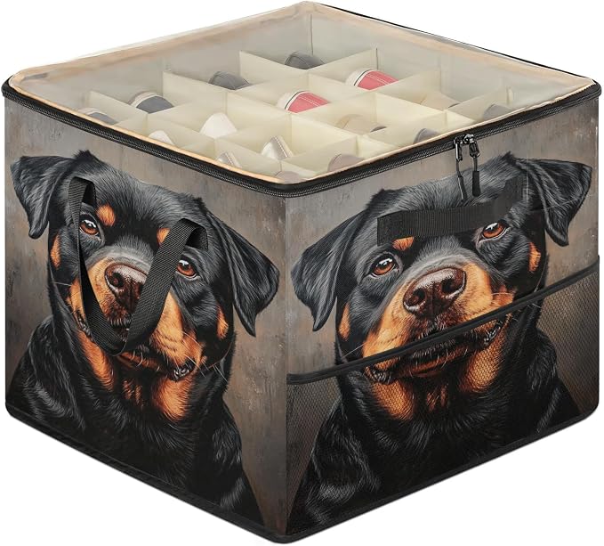 TropicalLife Bernese Dog Shoe Organizer for Closet | Funny Pets Foldable Shoe Storage Organizer Box Bin with Adjustable Dividers and Clear Cover, Fits up to 16-32 Pairs