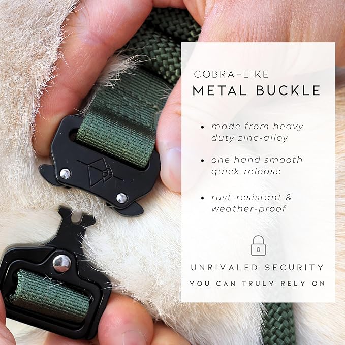 MADE TO ROAM Explorer Dog Collar | Heavy Duty Nylon & Durable Metal Buckle | Premium adjustable collar with rust-resistant hardware. Fits small to large dogs. 15 colors. Matching leash & harness