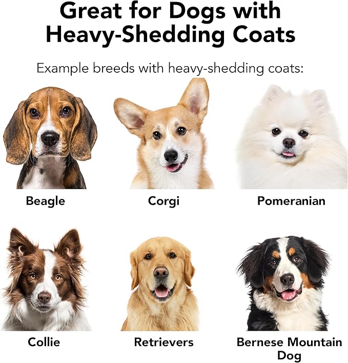 Pride and Groom The Shedder | Dog Deshedding Shampoo | All Natural Body Wash with Essential Oils & Ingredients that Reduce Pet Shedding & Fur Dander for Curly and Wavy Coats – 16oz