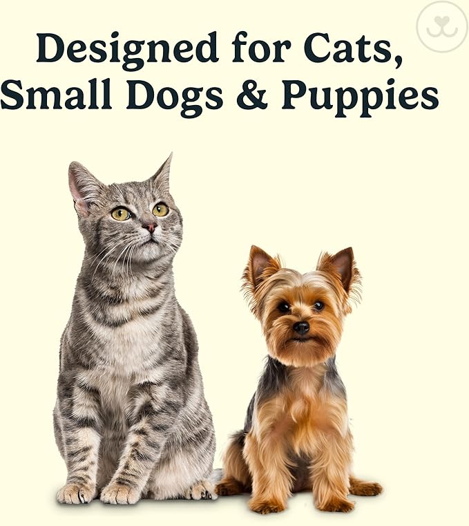 Jasper Microbrush Vet Approved Cat Toothbrush, Soft-Bristled Toothbrush Kit for Felines & Small Dogs, Non-Slip Handle with 2 Replaceable Tooth Brush Heads, Use with Cat Toothpaste, 2-Pack, Blue