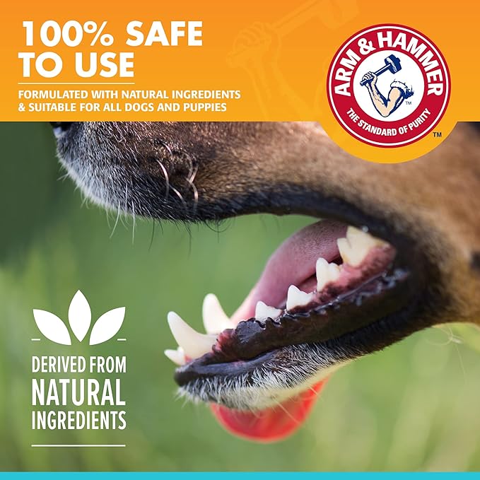 Arm & Hammer for Pets Dog Oral Care Spray, Mint Flavor Breath Freshener & Teeth Cleaning, Baking Soda Enhanced Plaque & Tartar Support, Easy Brushless Dental Care for Adult Dogs, 4 Fl Oz - 24 Pack