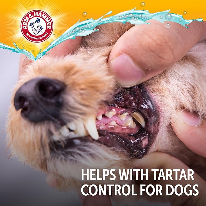 Arm & Hammer Complete Care Dog Dental Spray, Mint Flavor, Brushless Dog Breath Freshener with Baking Soda and Calcium for Tooth Enamel Support, Fluoride-Free, 6 Fl Oz