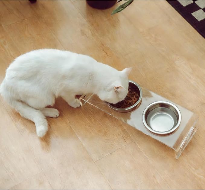 Tilted Raised Elevated Food and Water Bowls Stand for Cat or Small Dogs - Puppy's Clear Acrylic Stainless Steel Dishes Holder for Boy or Girl Pet,Modern,Durable and Easy to Clean by WBhonghui (Clear)