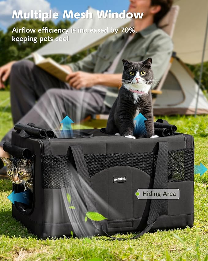 Pecute Cat Carrier, Soft Double Pet Crate for 2 Cats Travel, Dark Gray | Anti-Collapse Steel Frame, Convertible Dual Space, Foldable, Polyester Breathable mesh, Up to 26 lbs, Car Travel & Vet Visits