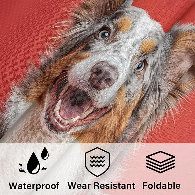 Funny Dog 6 Set Compression Packing Cubes Dog Pattern Expandable Packing Organizer for Travel Accessories Luggage Suitcase Bag
