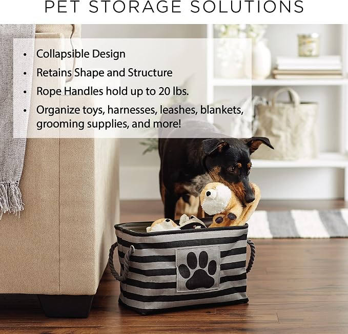Bone Dry Pet Storage Collection Paw and Bone Print, Medium Rectangle, 16x10x12, Gray